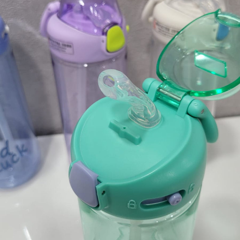 Water Bottle 650 ML