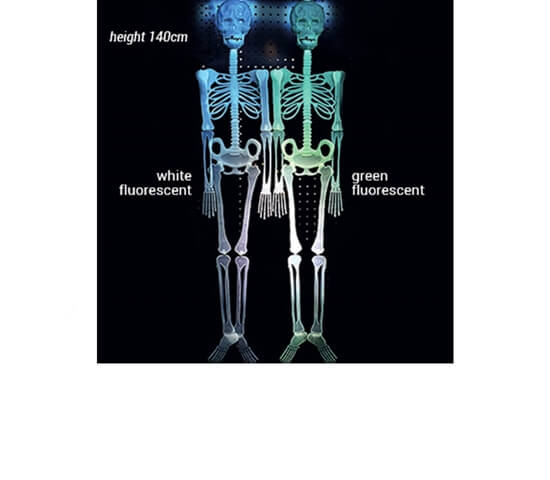 GLOW IN THE DARK SKELETON